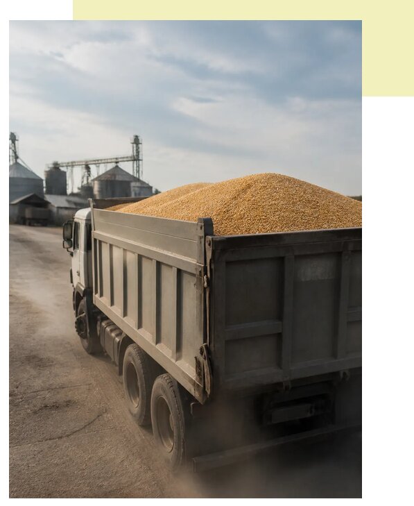Перевозка сельхозпродукции навалом в Георгиевск по цене от 3092 р. | Агросервис-Грг
